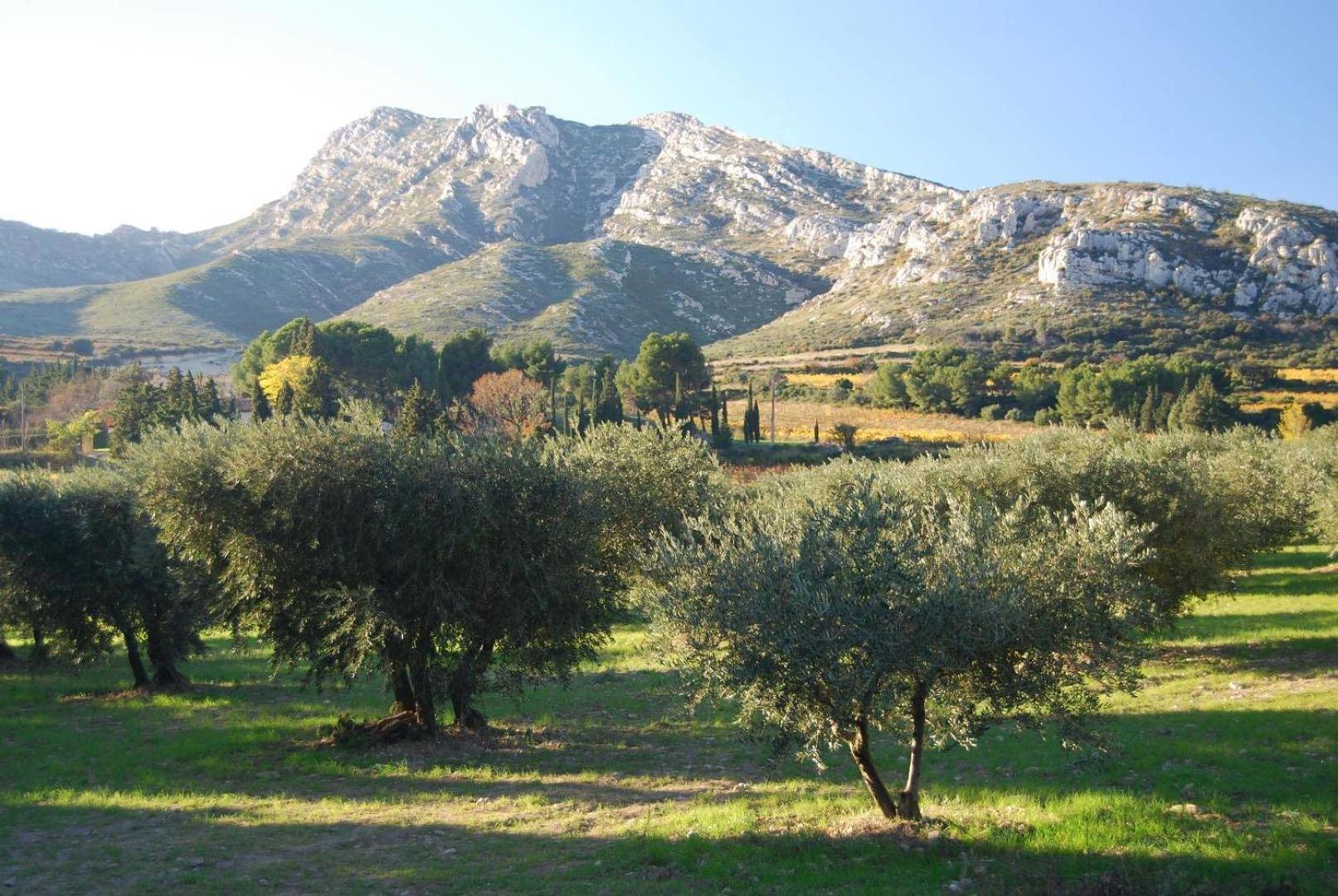 شقة Sous Le Soleil Des Alpilles مورييه المظهر الخارجي الصورة