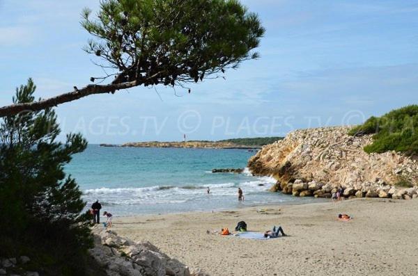 شقة Sous Le Soleil Des Alpilles مورييه المظهر الخارجي الصورة